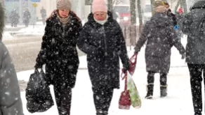 Превью новости Тридемия в Беларуси